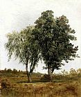 A Study of Trees by John Frederick Kensett